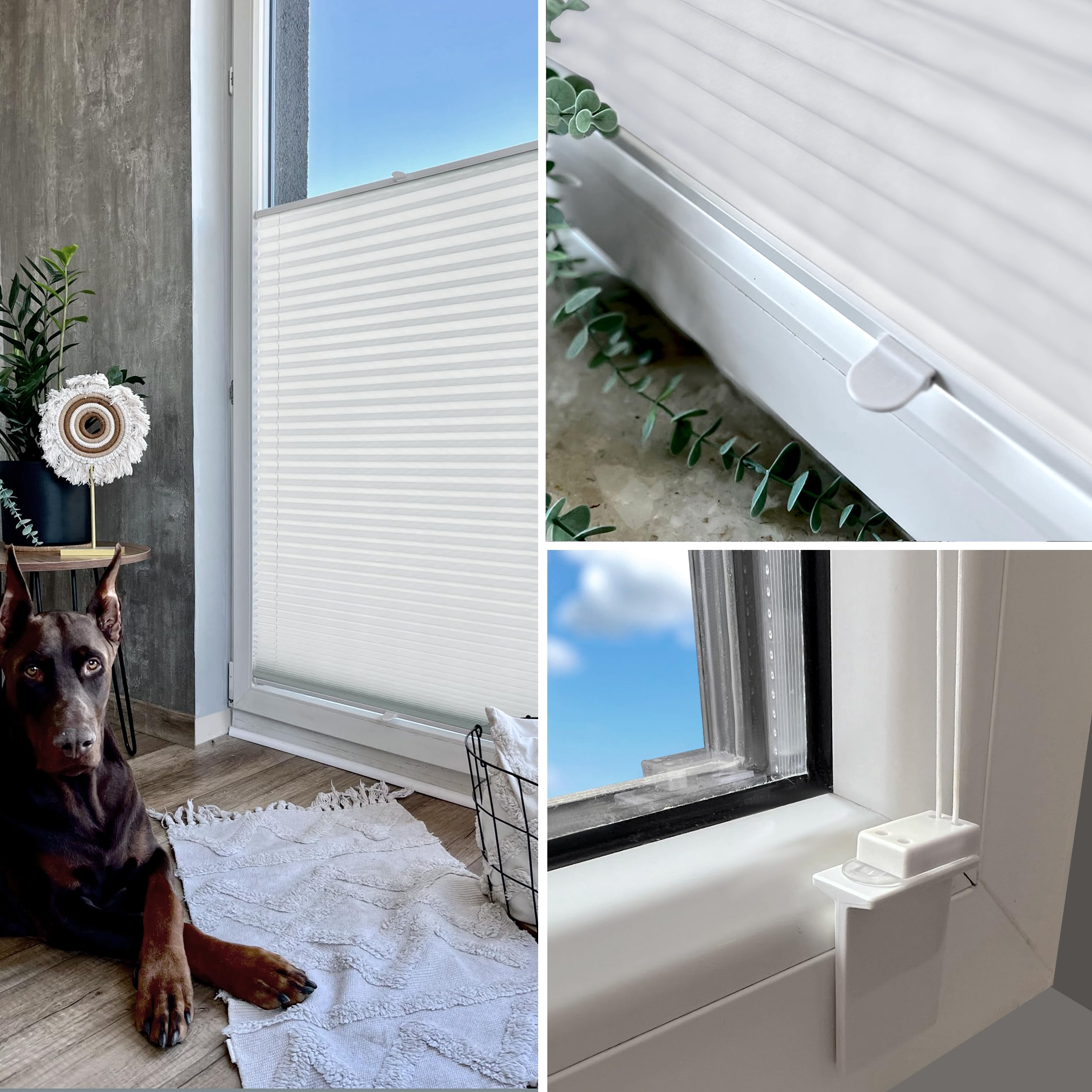 Rollmayer Plissee zum Kleben Faltrollo Binco Weiß B75cm x H200cm