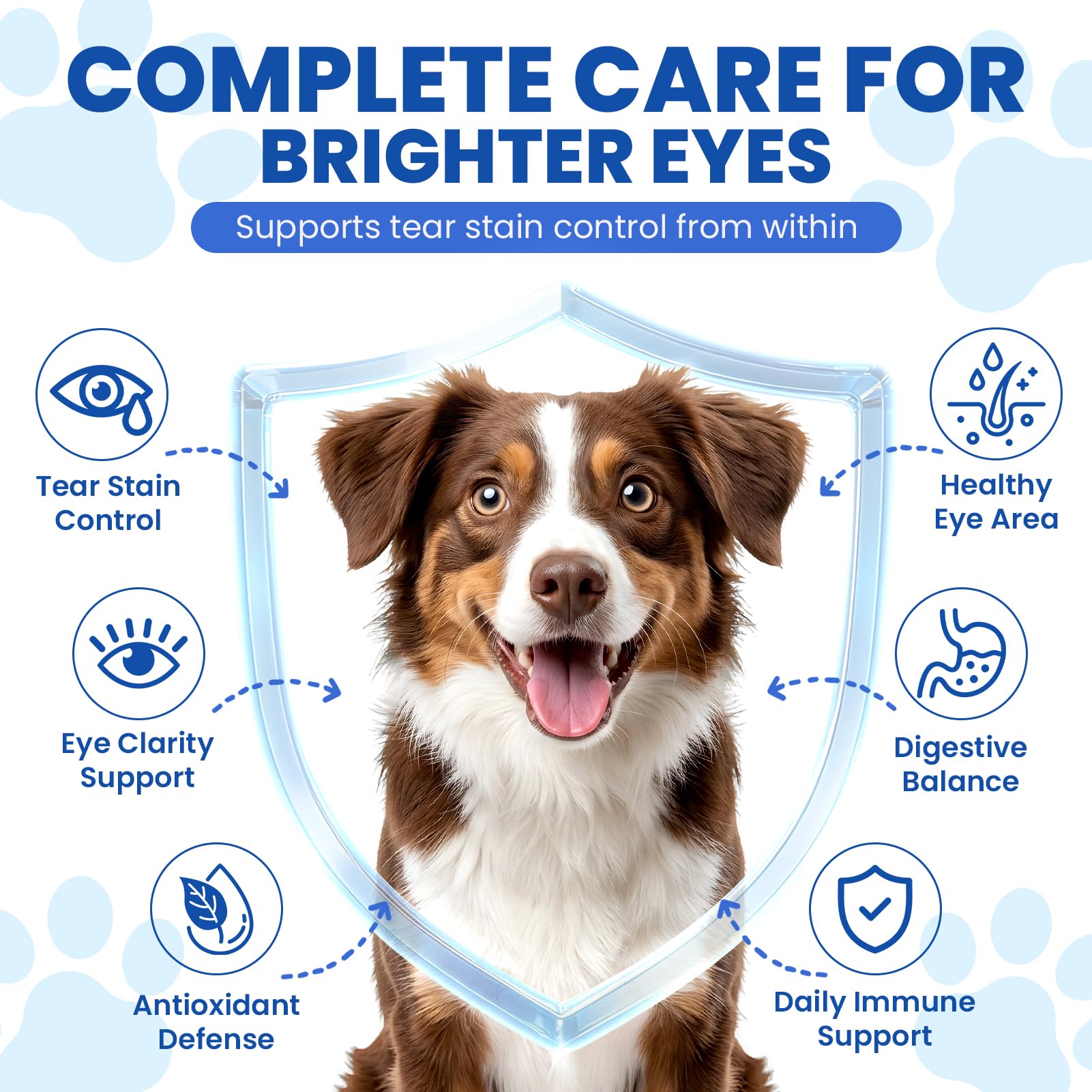 Tear Stain Chews for Dogs 200 Ct Eye Support Soft Chews Dog Eye Care Vision Immune Support Antioxidant Protection with Vitamins Cranberry Extract Fish Oil Lutein for Eye Health - Chicken — Amazon image 2