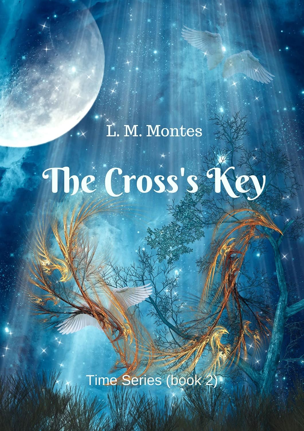 The Cross's Key (Time Series Book 2)