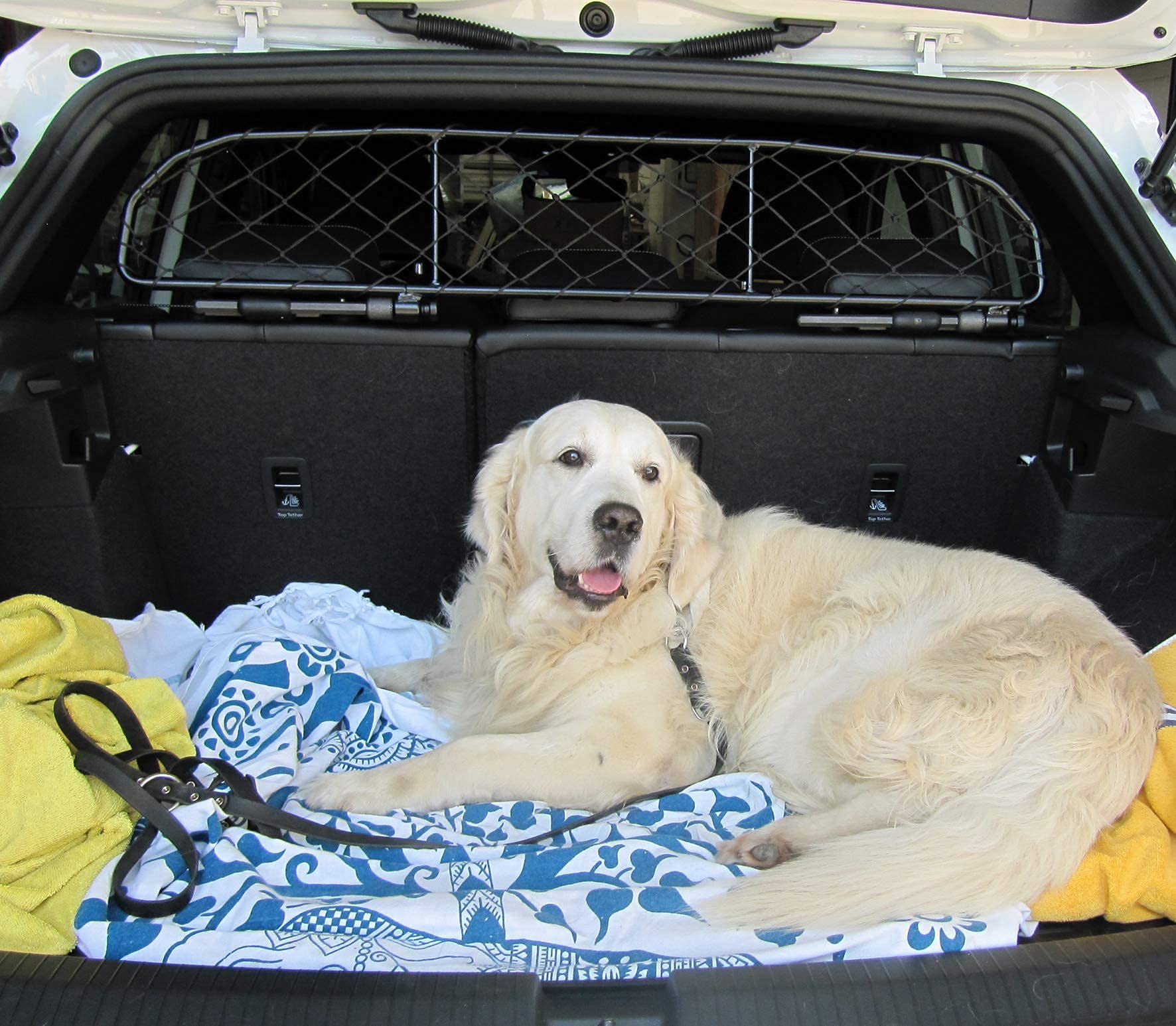 ERGOTECH Divisorio Griglia Rete Divisoria Compatibile con Volkswagen T-ROC, RDA65-HXXS8, per Trasporto Cani e Bagagli