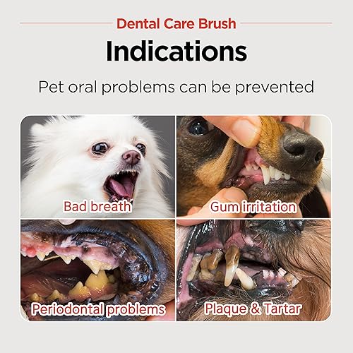 Miniatura 6 de JAYU PET Cepillo de cuidado dental [cerdas suaves y firmes] - Cepillo de dientes para gatos y perros pequeños, eliminación de placa vieja y sarro,