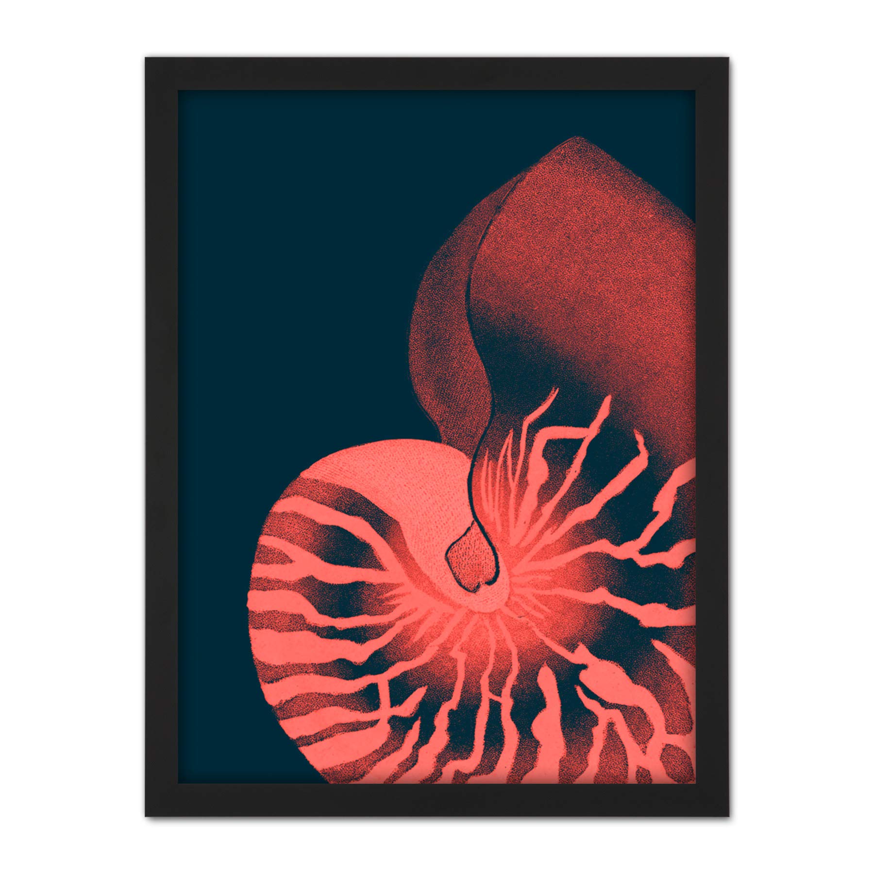 Wee Blue Coo Pink Seashell Nautilus Artwork Framed Wall Art Print 18X24 Inch