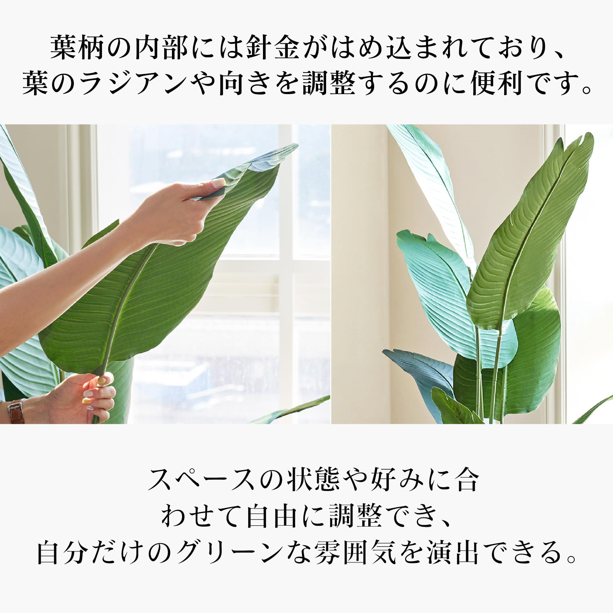 Amazon｜ybaymy 人工 観葉植物 フェイクグリーン ストレリチア・レギネ