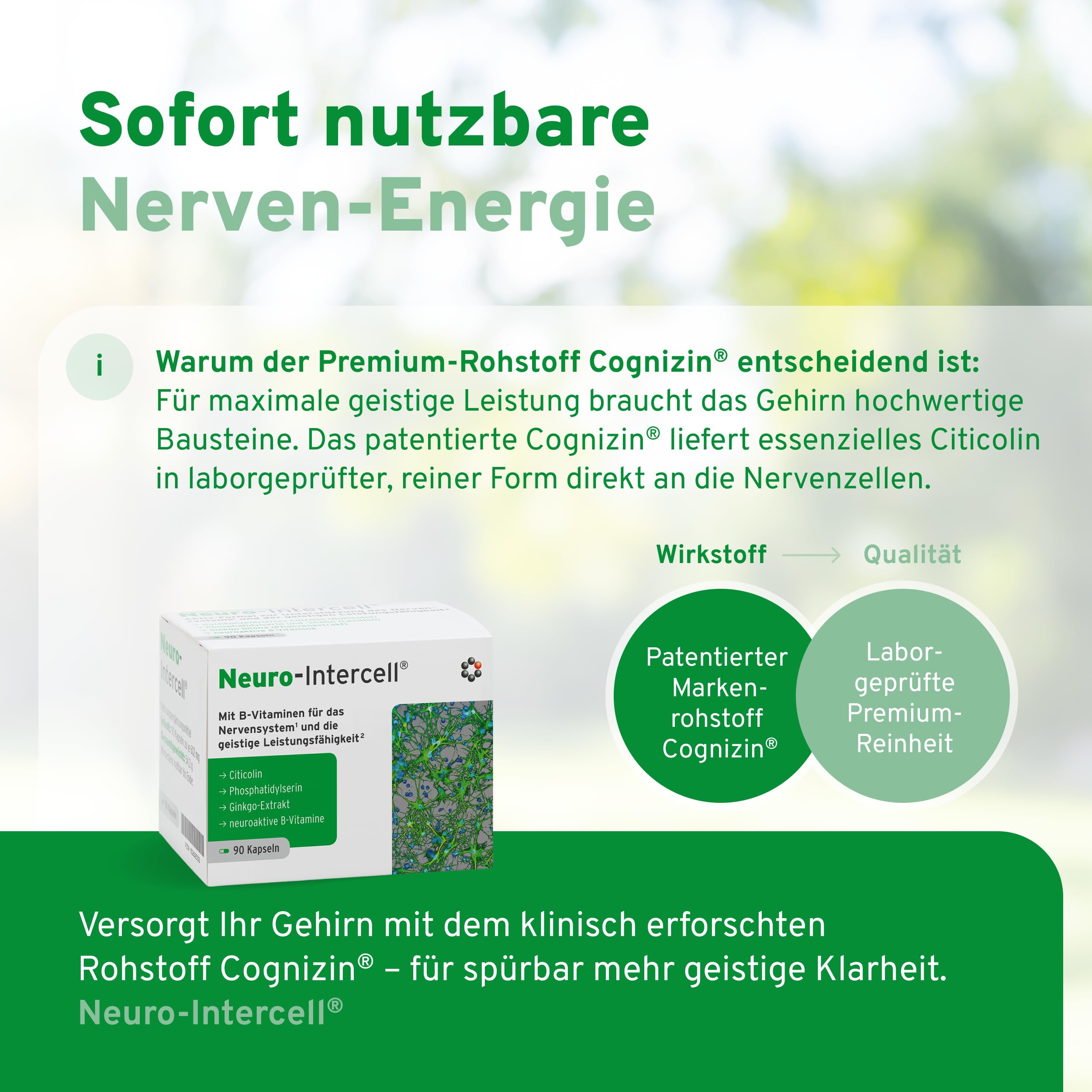 Neuro-Intercell® Vitamin B Komplex (90 Kapseln) - Hochdosiert für Nervensystem & Konzentration - Mit Ginkgo Biloba, Cognizin® Citicolin & Phosphatidylserin - Aktives B12 (Methylcobalamin)