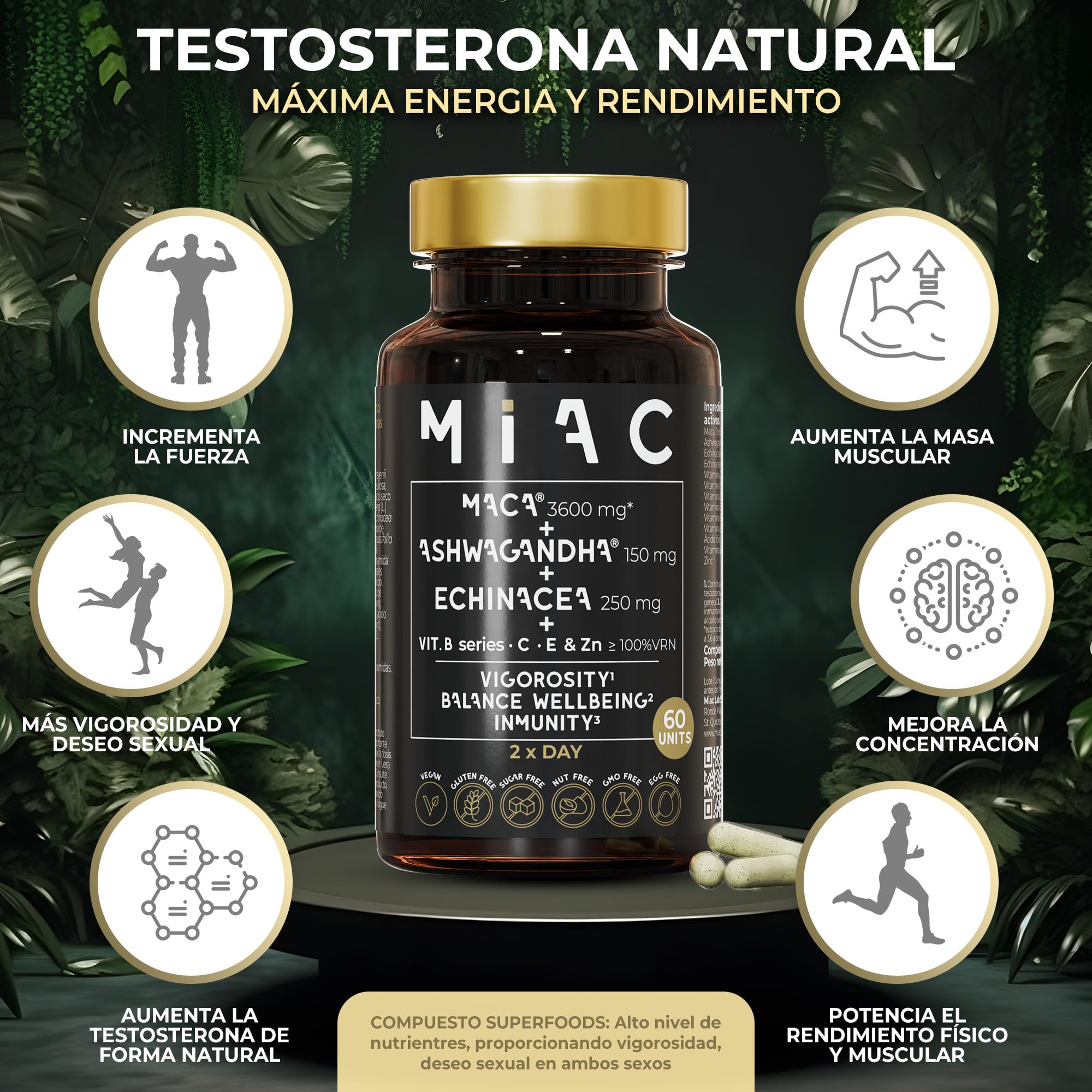 MIAC Maca + Ashwagandha Sensoril™ + Echinacea. Energía, Bienestar e Inmunidad con Vitaminas y Adaptógenos. 60 Cápsulas Veganas, Sin Gluten ni OGM