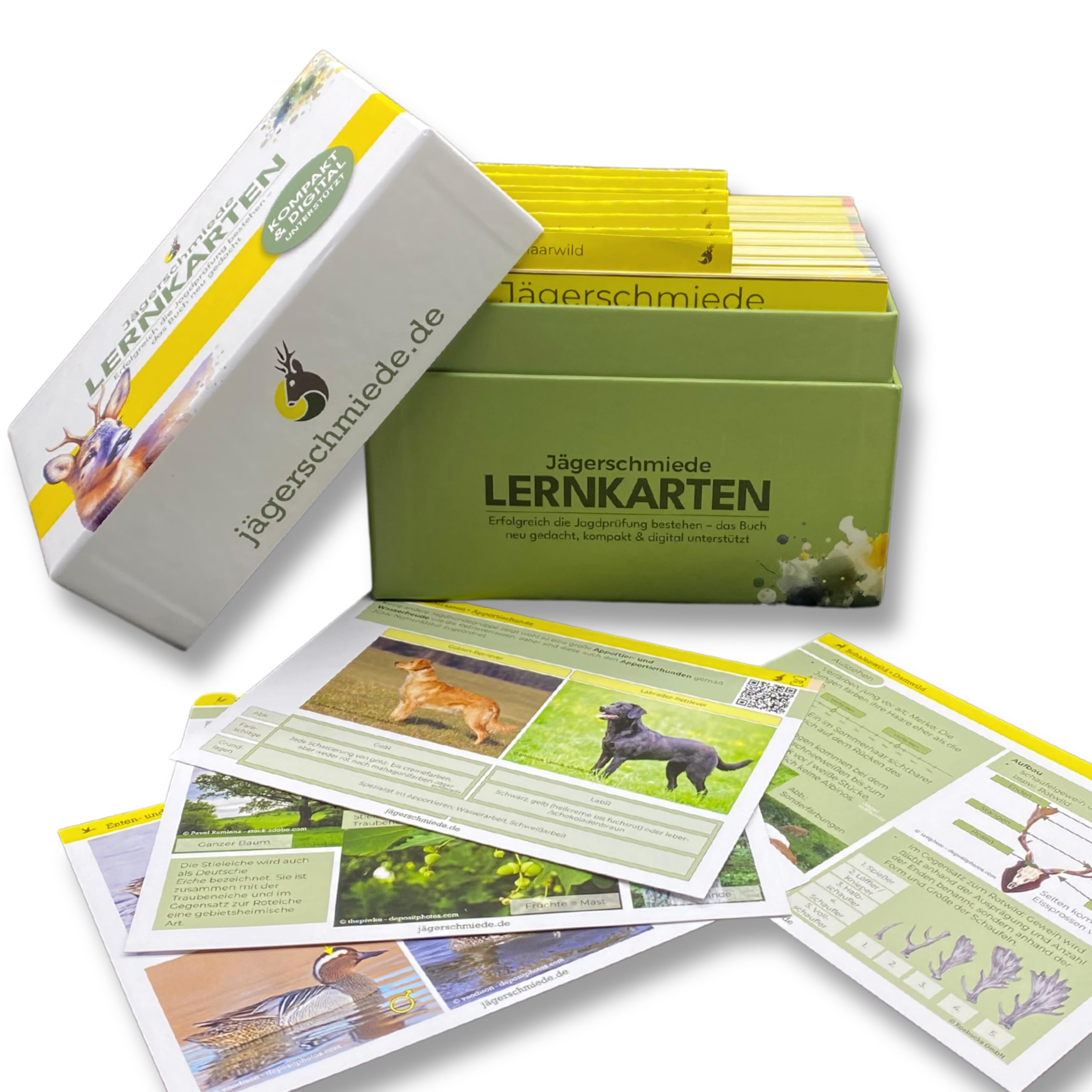 Lernkarten: Erfolgreich die Jagdprüfung bestehen & sicher zum Jagdschein - Das Buch neu gedacht; kompakt & digital unterstützt [Standardwerk]
