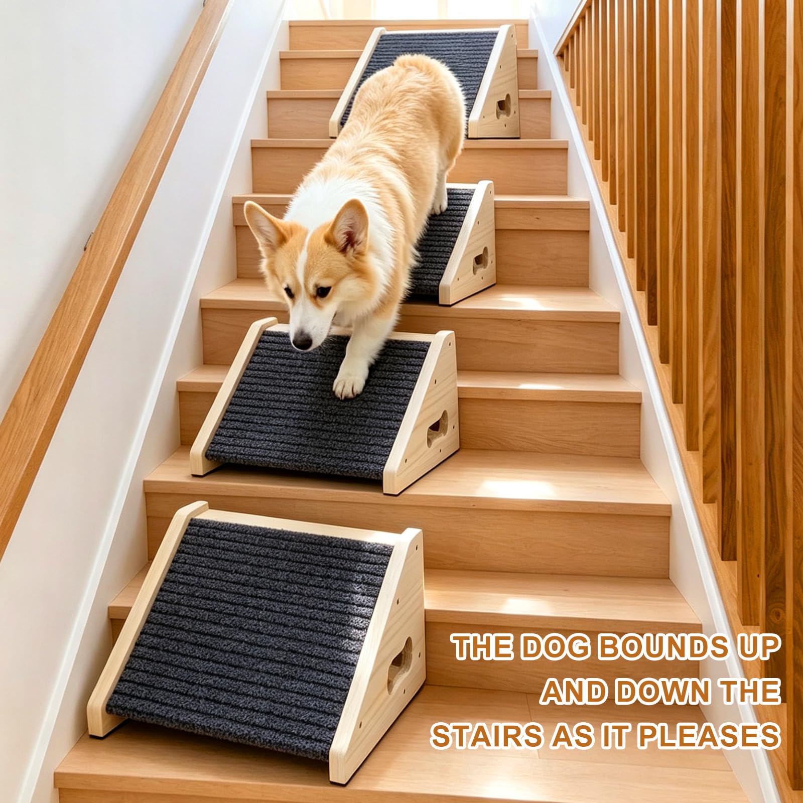 4er Hundetreppe für Kleine Hunde, Holz Hunderampe für Treppen 30 x 25 x 15 cm, rutschfeste Hunderampe mit Teppichoberfläche, Niedrigwinklige Haustierrampen, Stufen und Treppenhilfe