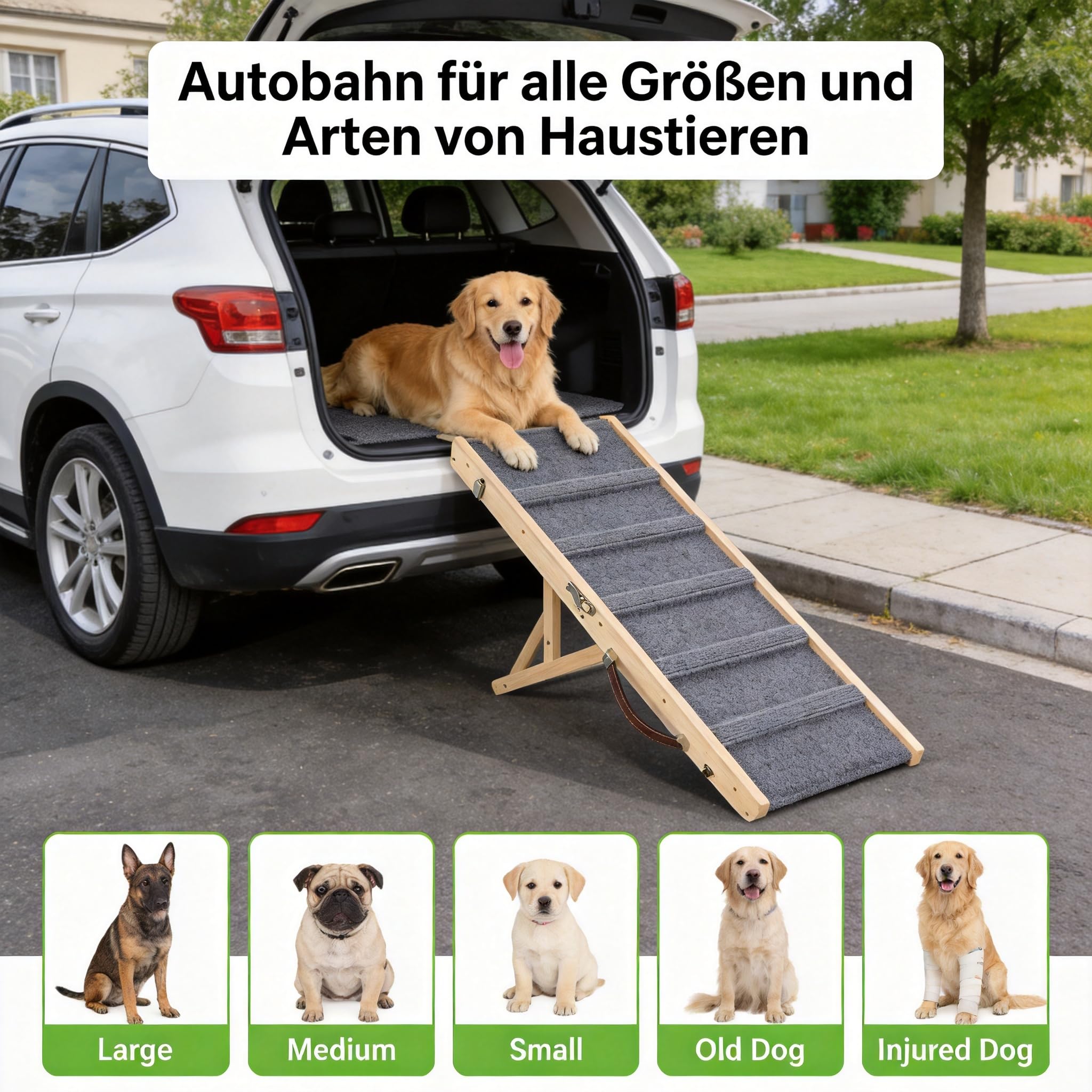 Holz Hunderampe |Hunderampe Bett |Höhenverstellbar mit Rutschfester Matte