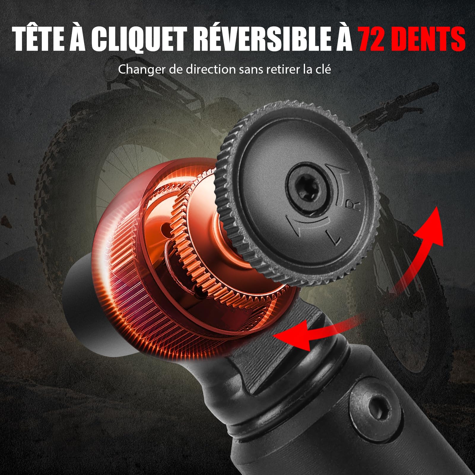 1/4 Clé Dynamométrique 2-20NM de Precision avec 20 Pièces Embouts H,SL,T,PH,PZ Bit pour vélo