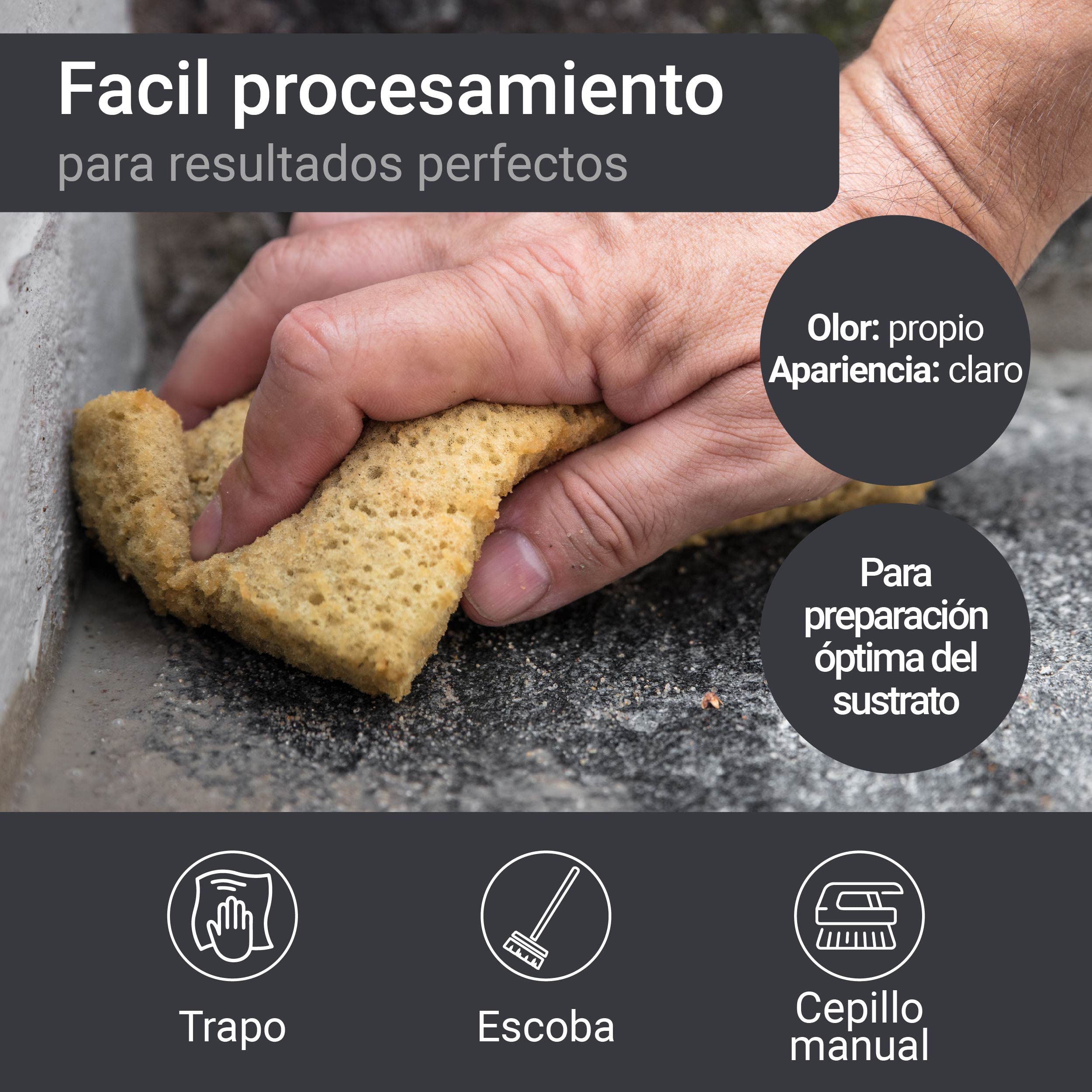 WO-WE Limpiador de hormigón cemento antes de aplicar pintura Prefiltro intenso W810-10L