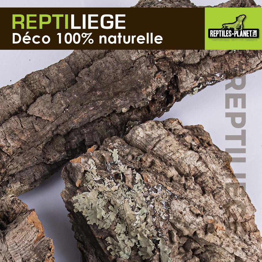 Reptiles Planet - Reptiliège - Assortiment de Liège pour Décoration de Terrarium - 10 litres