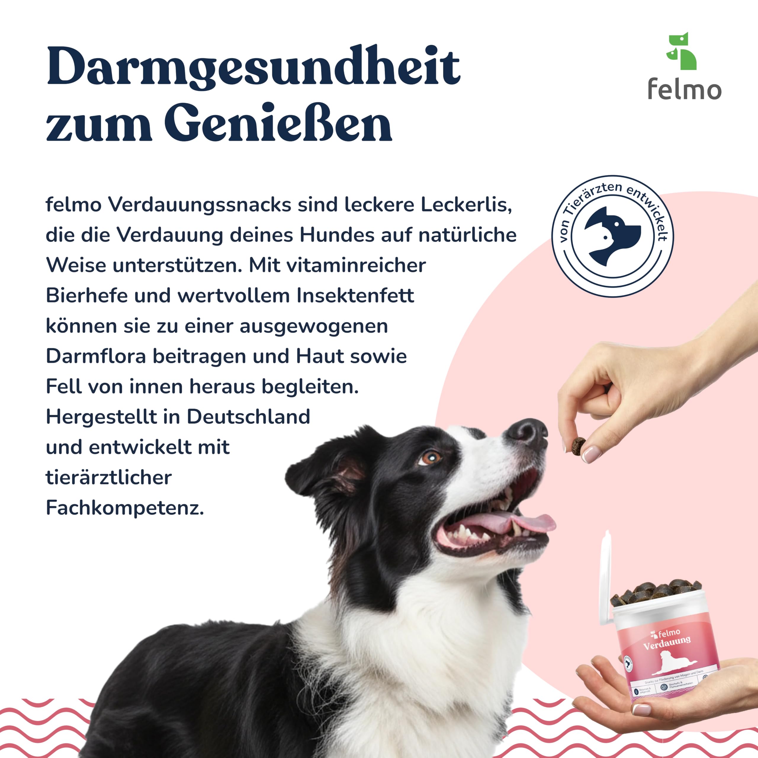felmo Snack digestivo per cani (325 g) con lievito di birra e grasso completo per insetti | Snack prebiotici per l'equilibrio intestinale, la salute della pelle e dell'immunità, senza cereali, made in Germany