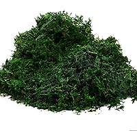 Algopix Similar Product 9 - Byher 92926 Preserved Forest Moss