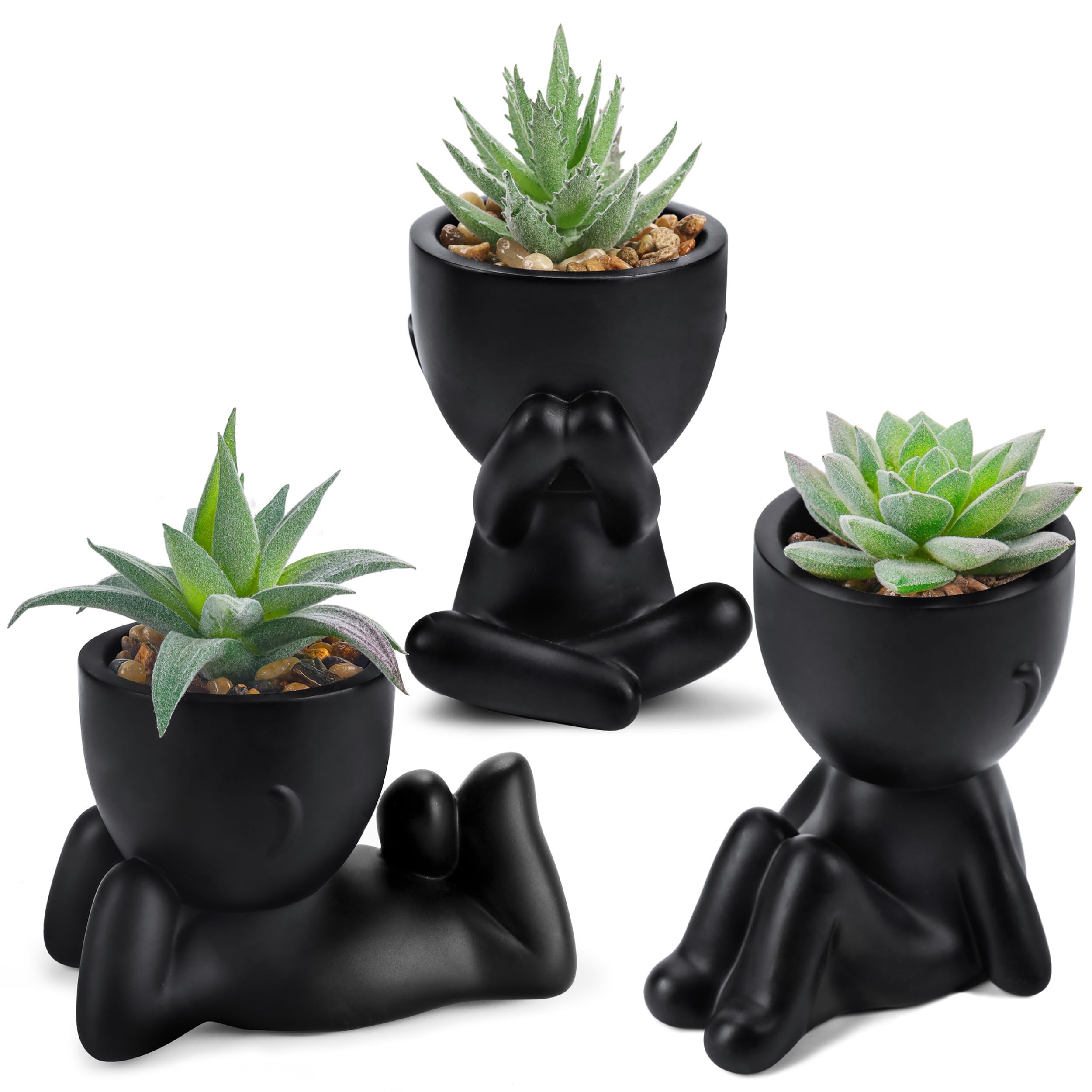 Der Rose Fake Plants - Black Succulents -1