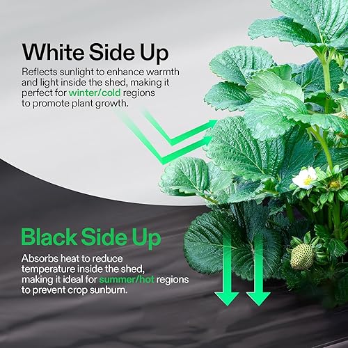 Miniatura 3 de VIVOSUN rollo de película blanco y negro