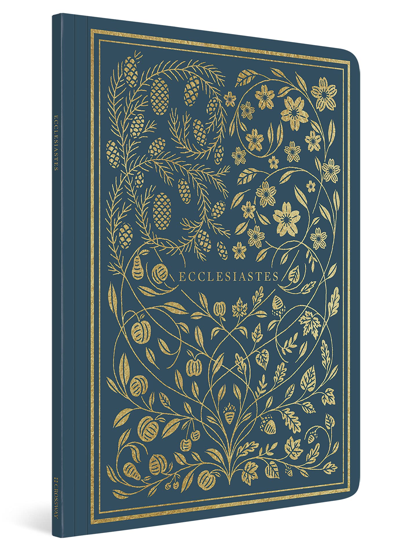 ESV Illuminated Scripture Journal: Ecclesiastes (Paperback)