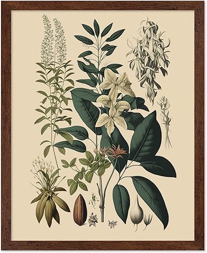 Miniatura 61 de Poster Master Póster vintage de orquídea, estampado de flores retro, arte de pared de plantas exóticas, arte botánico, regalo para hombres y