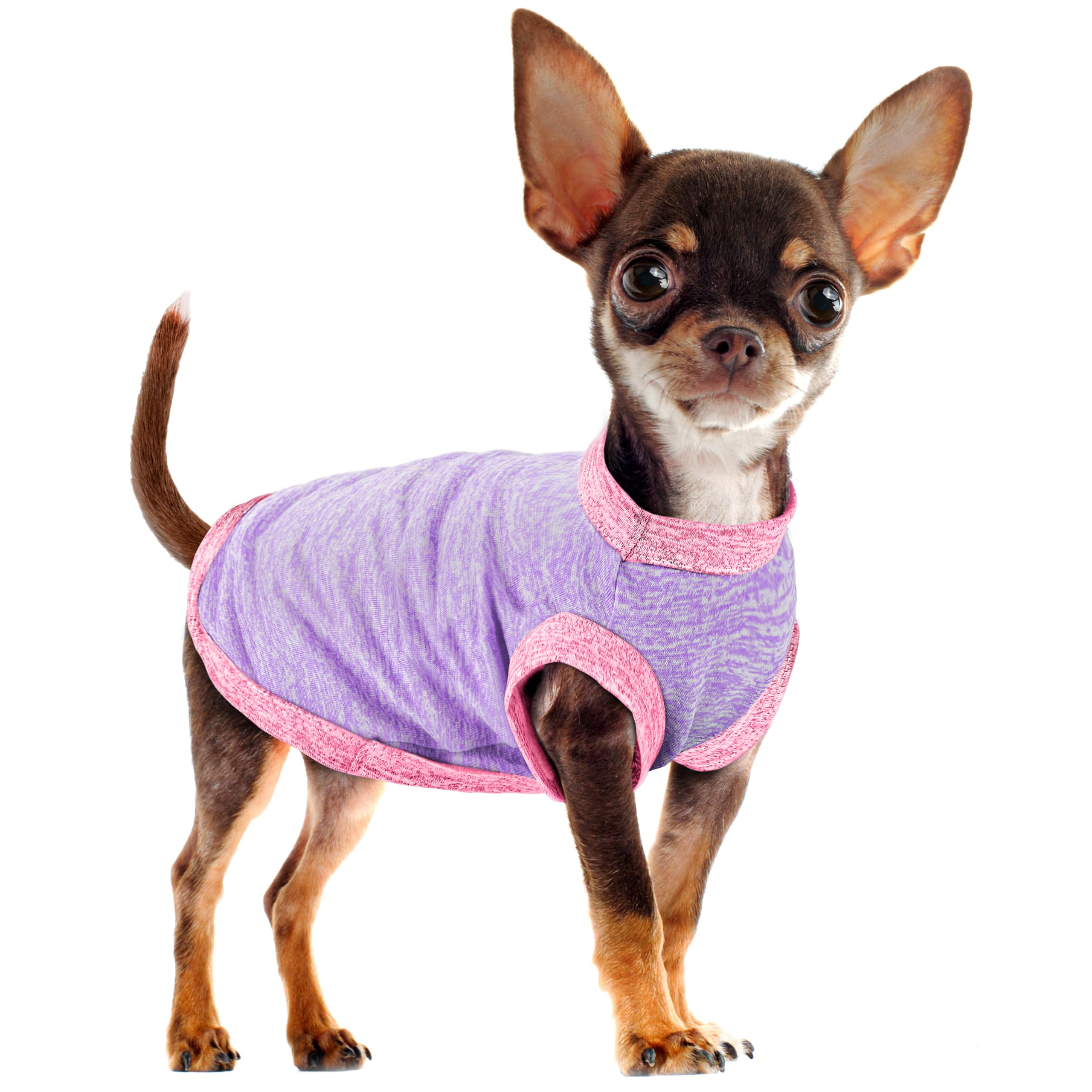 Chic Ion Polyester Dog Vest: Adorable Fashion Apparel for Small, Medium, and Large Breeds, Moisture-Wicking, Soft, Anti-Static, Durable, and