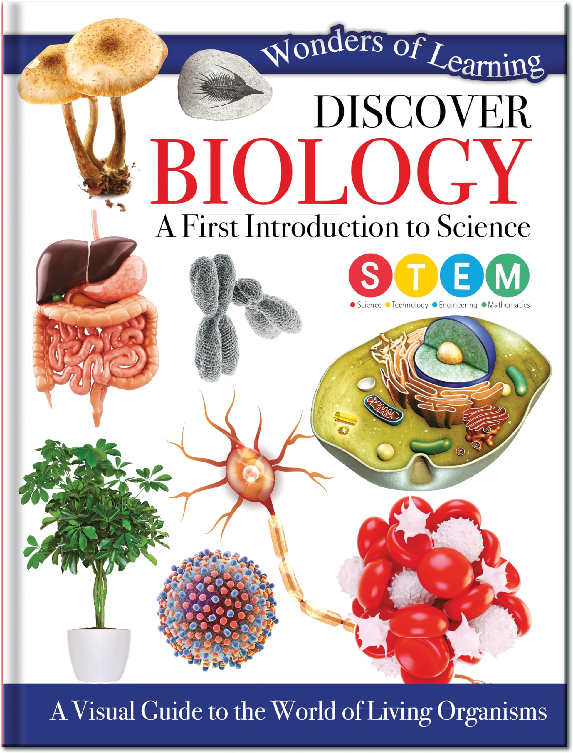 Discover Biology: A First Introduction to Science (Wonders of Learning 48 Pages Omnibus)