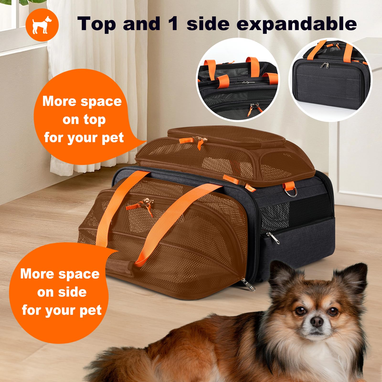 pidipiti Transportador de mascotas expandible superior y lateral aprobado por la TSA de 17.5 x 13.5 x 9 pulgadas para perros pequeños, cachorros, gatos de hasta 10 a 12 libras de peso y 17 pulgadas de