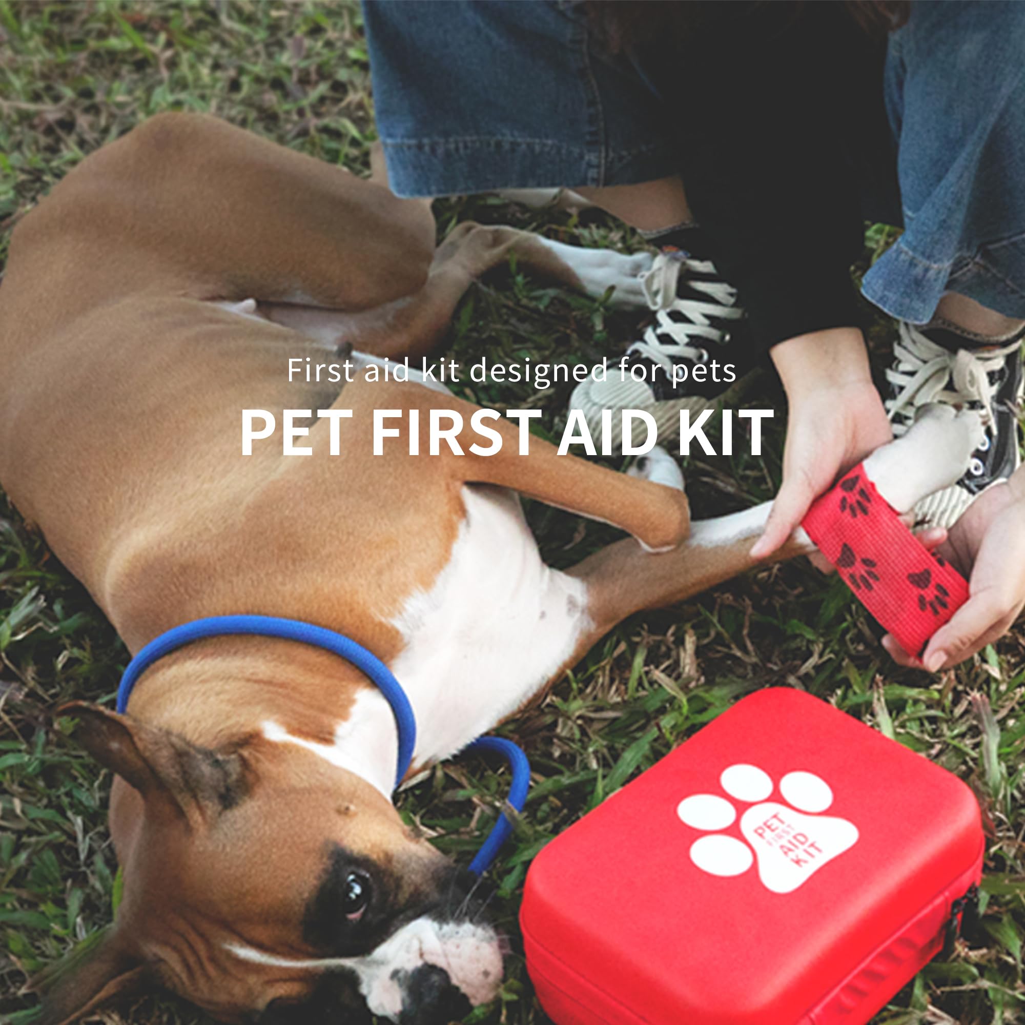 MediCounter Kit completo de primeros auxilios para mascotas para una protección total para las necesidades de tus mascotas