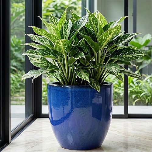 Briwooody 13.4" Large Ceramic Plant Pots Round Flower Planter with Drainage Hole and Saucer Glazed Modern Flower Pot for Indoor Outdoor Porch Home Decor Housewarming Gifts Farmhouse(Blue)