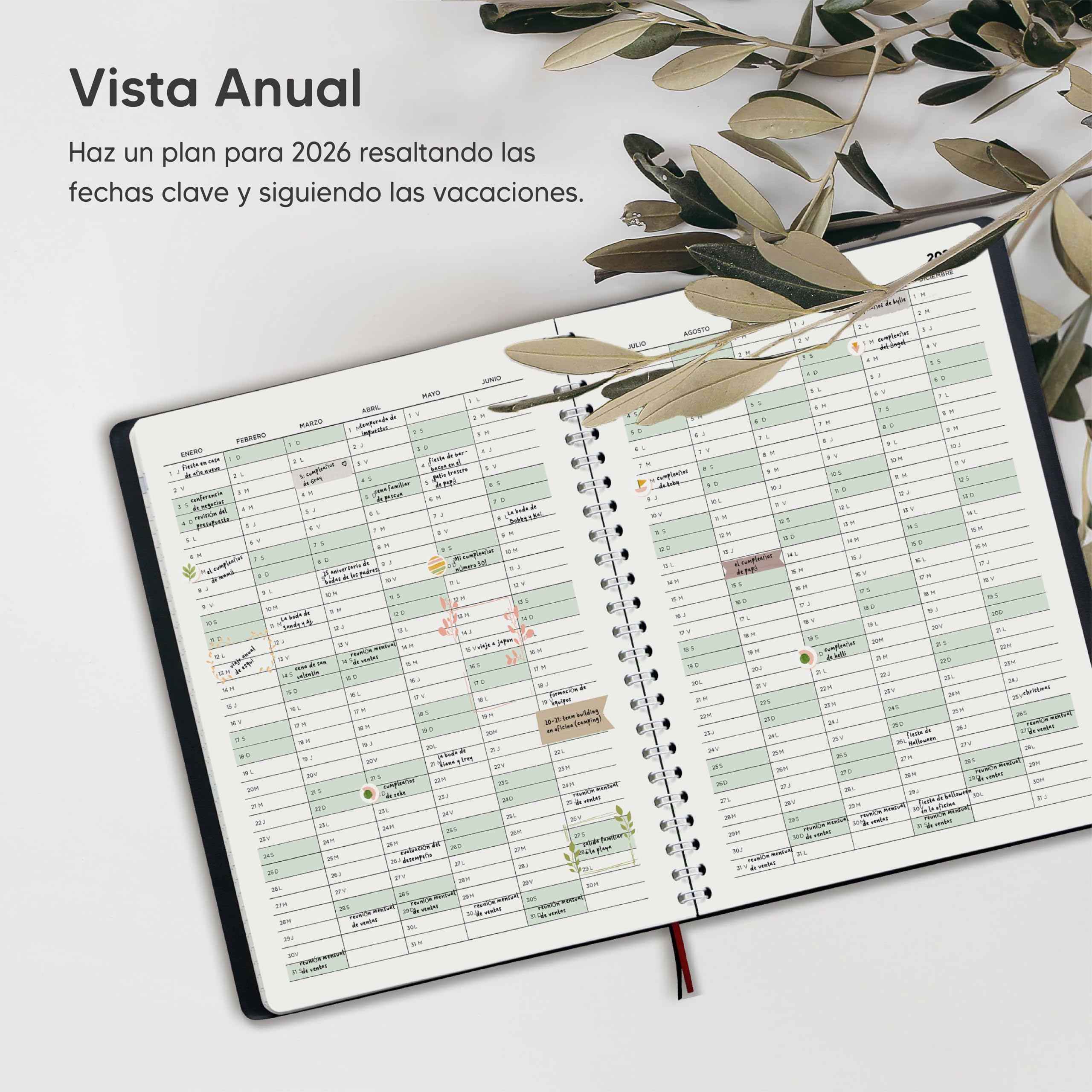 Smart Panda Agenda 2026 con Vista Semanal – A5 Agenda 2026 Semana Vista – Planificador Semanal, Diario Espiral - Tapa Blanda, Intervalos de 30 minutos - Calendario Anual A5, en Español
