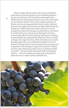 趣味・スポーツ・実用 The Wine Atlas FRANCE & travelers guide 趣味・スポーツ・実用 The Wine Atlas FRANCE & travelers guide 趣味