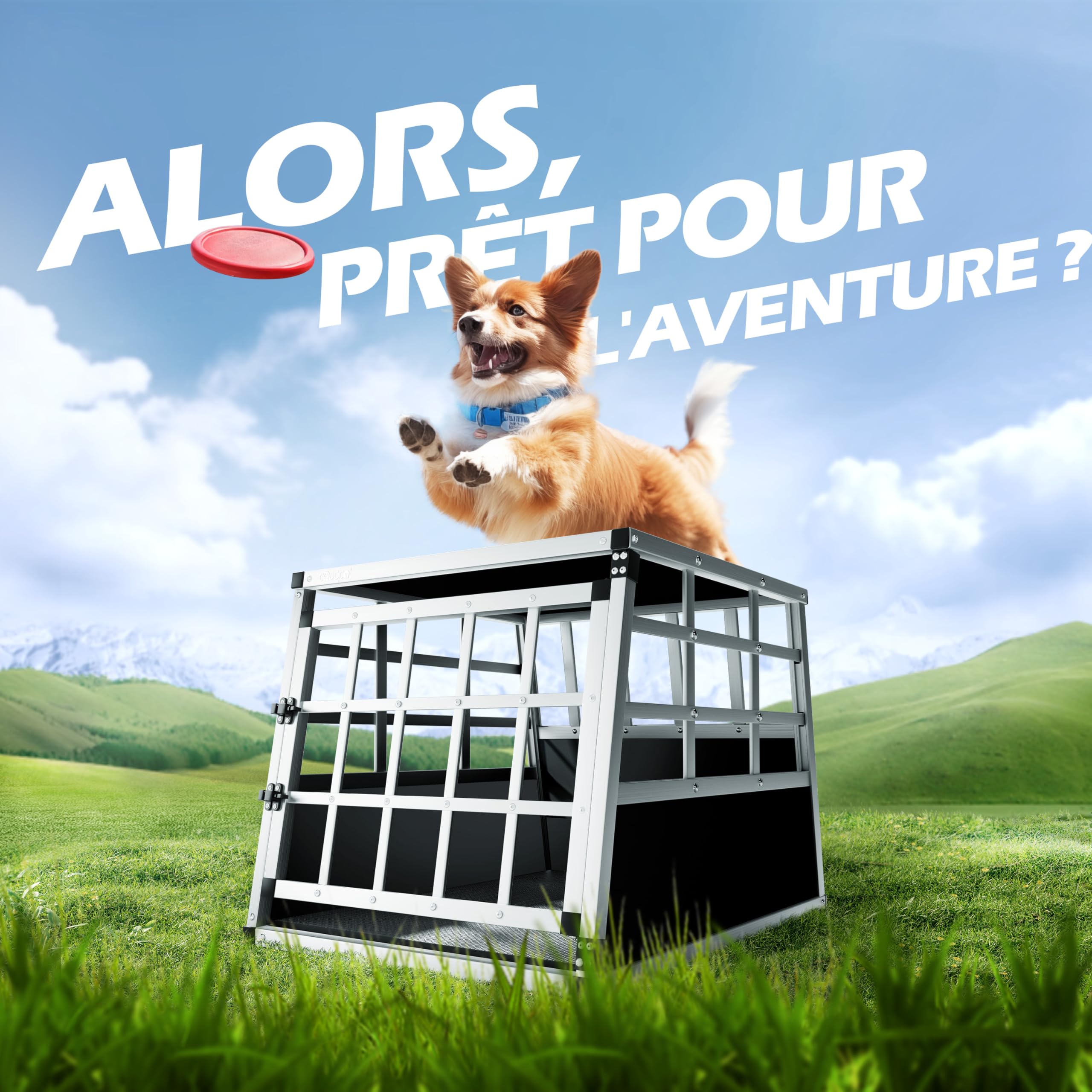 CADOCA® Cage de Transport M pour Animaux Aluminium MDF Noir Argent Caisse Chien boîte Box de Transport Voiture