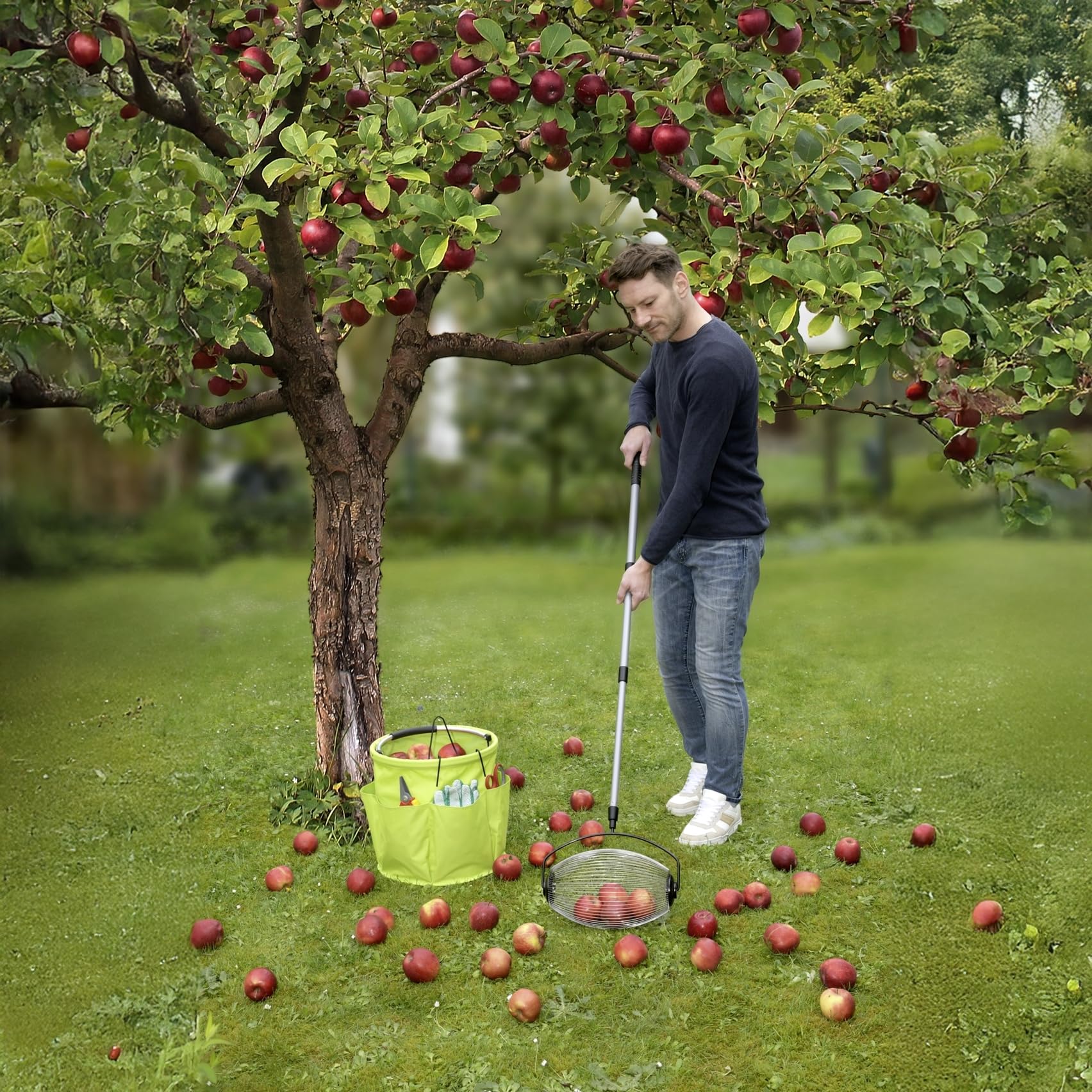 Maximex Gartengerät Rollsammler mit Teleskopstiel für effiziente Obstsammlung aus Edelstahl für Garten Schwarz Silber Grau 34 x 83-148 x 18.5 cm