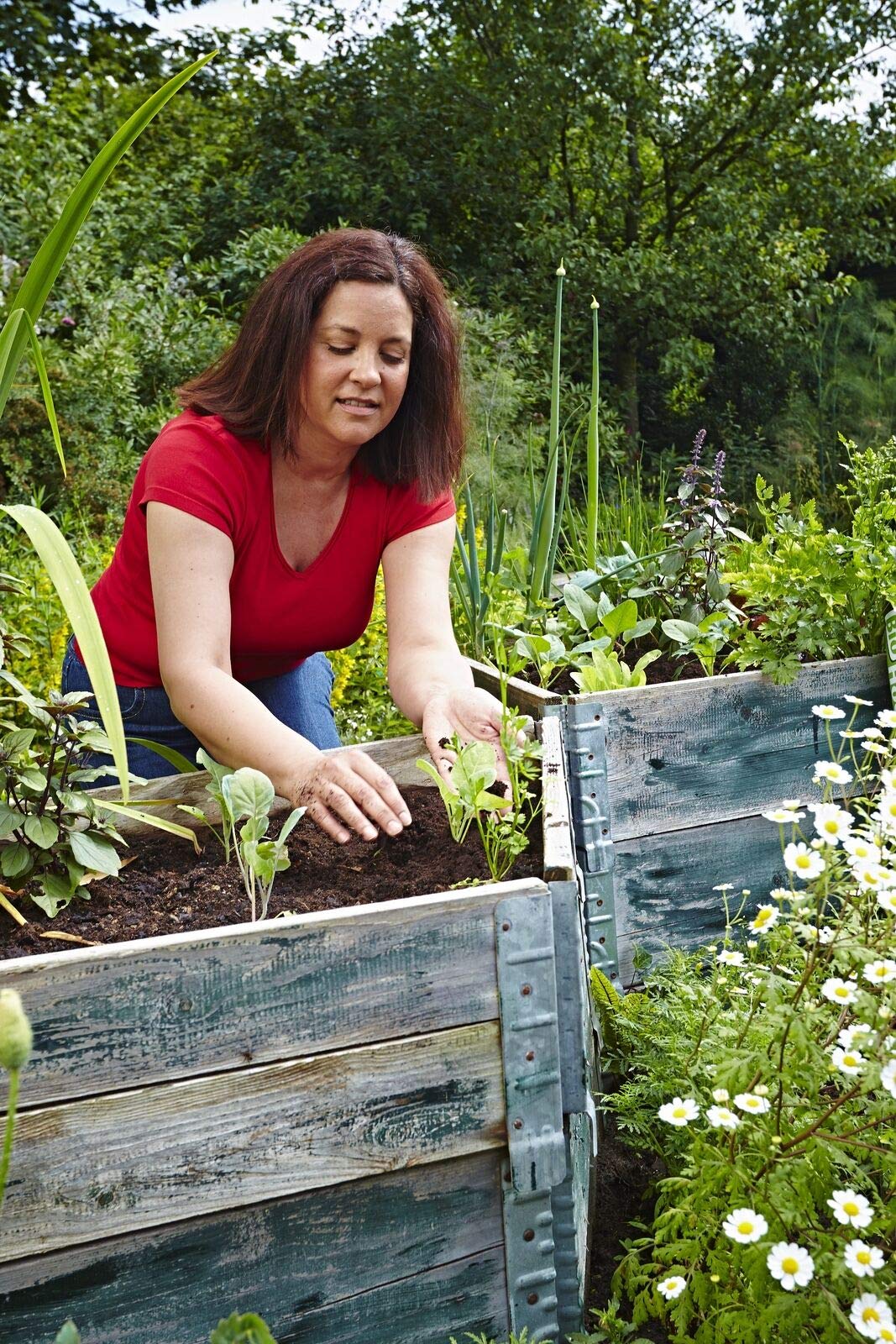 Plantaflor Plus Bio Hochbeeterde Gemüseerde Erde torfreduziert 60x 40 Liter (1 Palette)