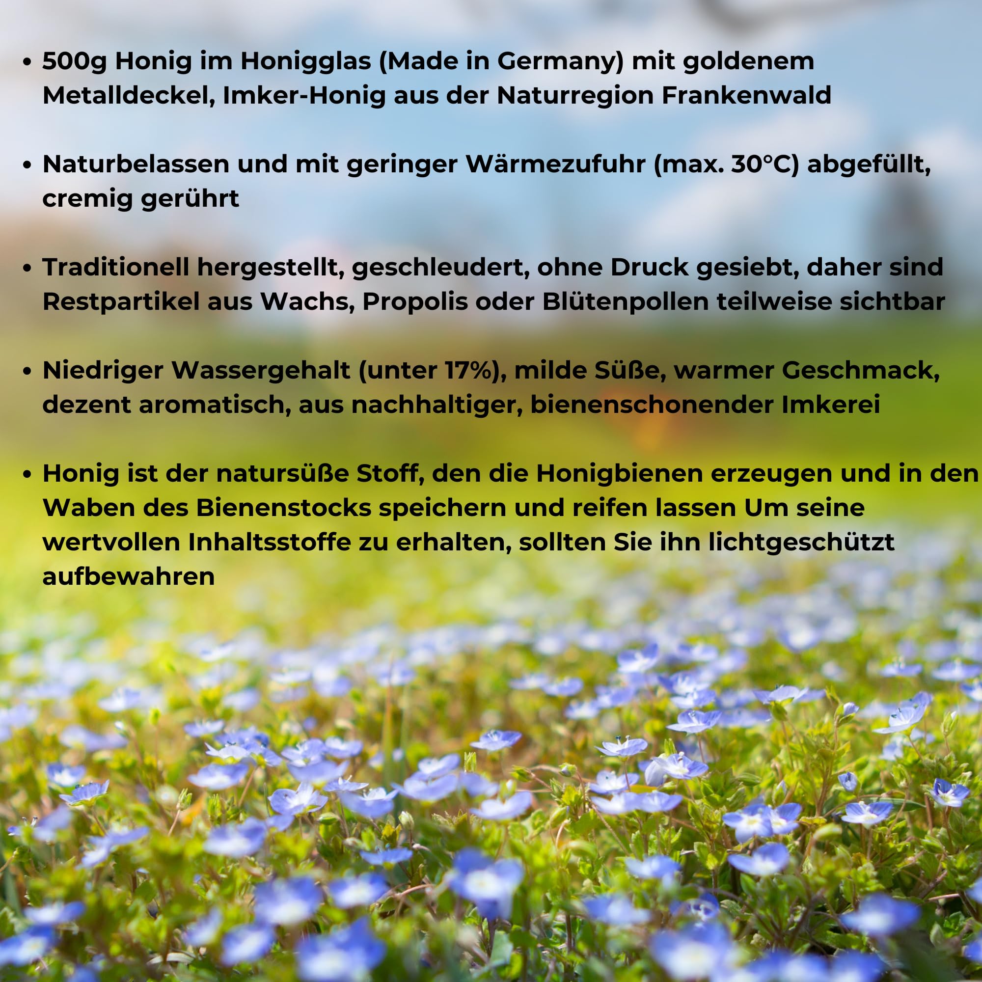 12x Original Deutscher Honig Sommerblütenhonig 500g im Glas aus Oberfranken (Nord-Bayern) Honig rein und natürlich