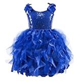 Christmas Tutu Dress for Girls Sequin Tulle Fairy Ball Dresses for Toddler Kid Little Girl Fancy Sparkly Birthday Outfit