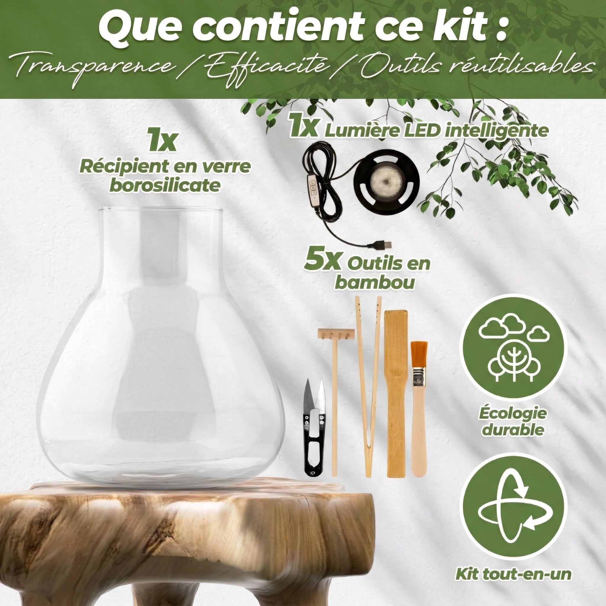 Kit de terrarium pour plantes avec récipient en Borosilicate et lumière LED