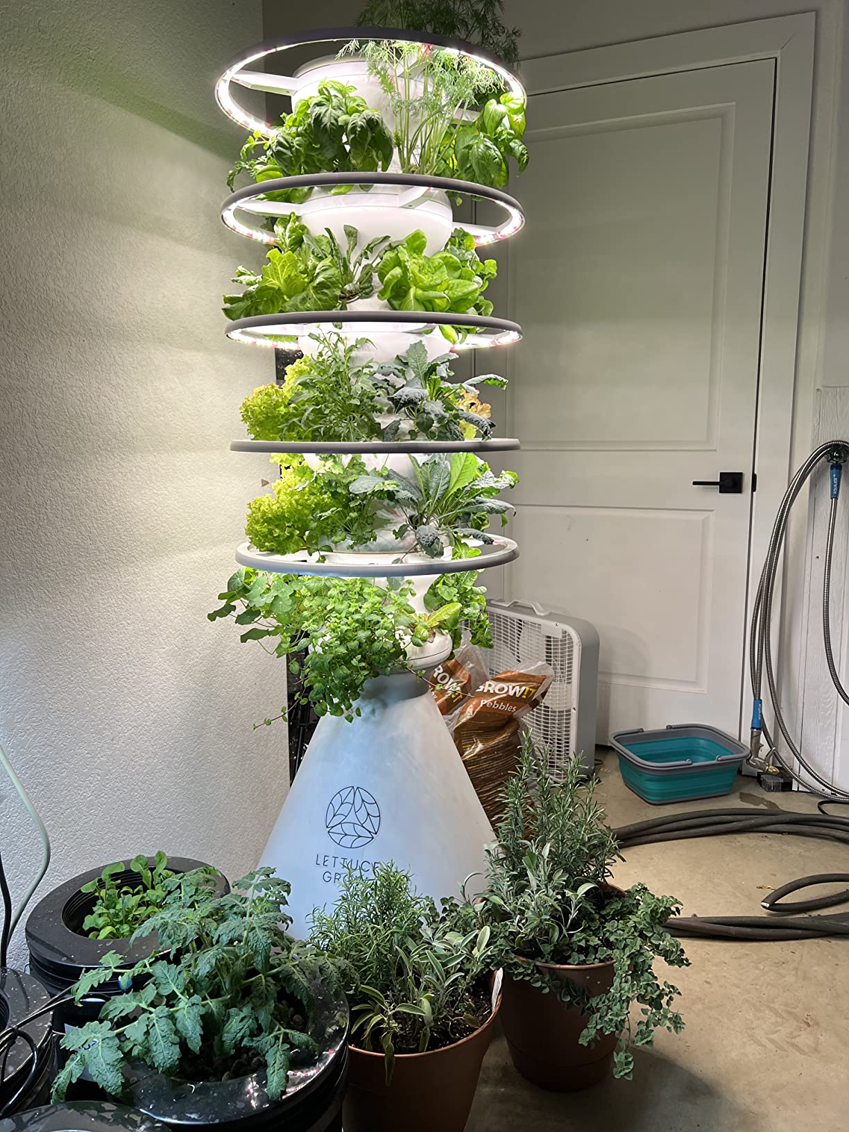 45/mo Finance Lettuce Grow Farmstand Starter Kit with Glow Rings and Seedlings Included 36