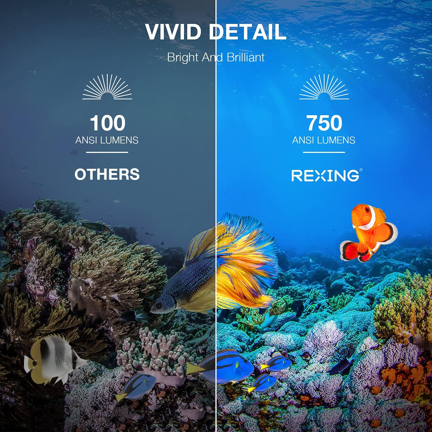 REXING PRD615 750 ANSI Lumens Comparison