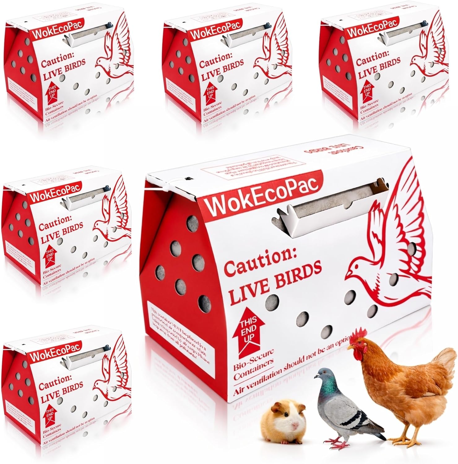 12 Pack Single Live Bird Shipping Boxes, Live Chicken Shipping Boxes, Poultry Shipping Boxes has Ventilation Openings, Cardboard Pet Carrier for Chicken, Bird, Duck, Pigeons, Canaries 17.7x7.8x11.8 in