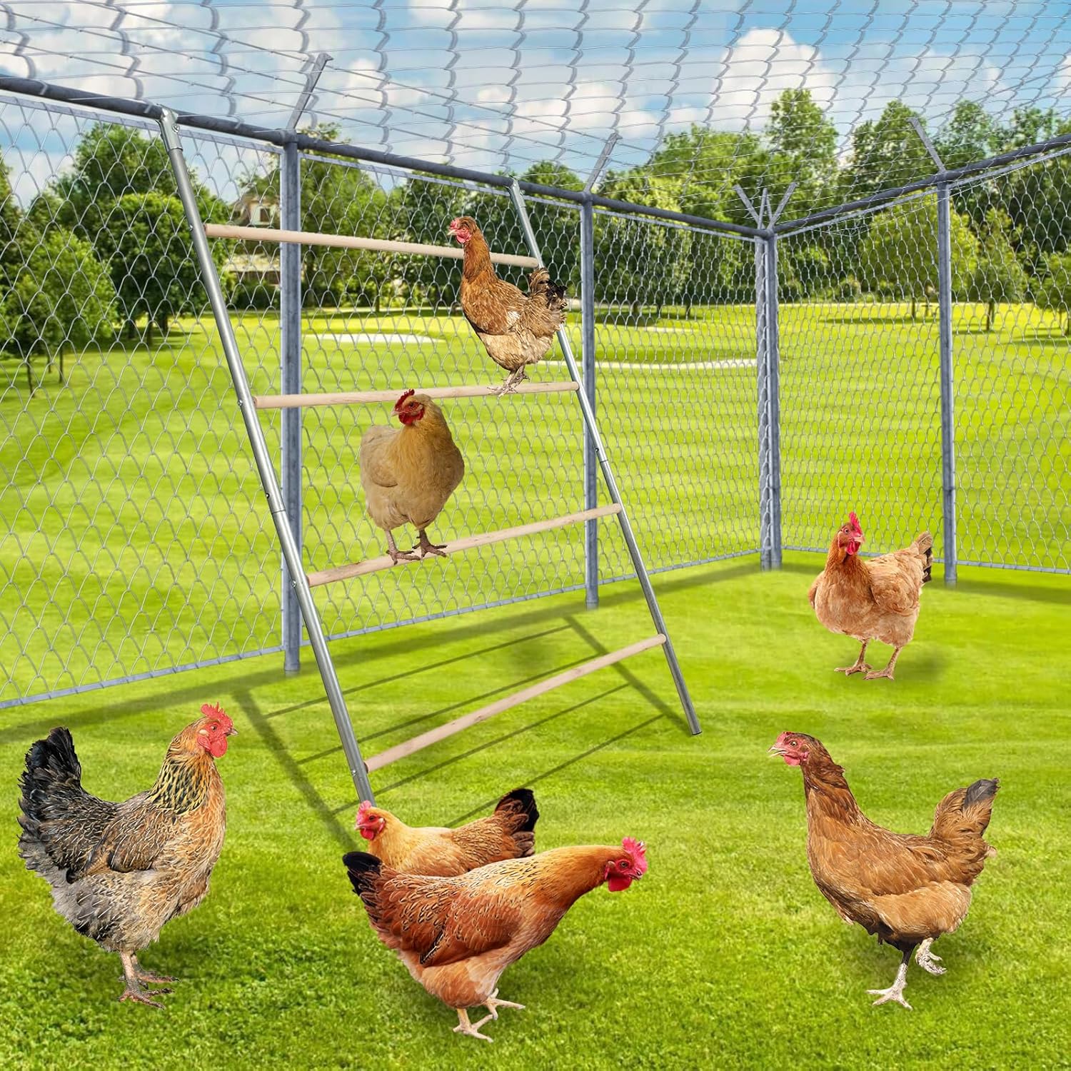 Chicken Perch and Roosting Bar for Metal Chicken Coop