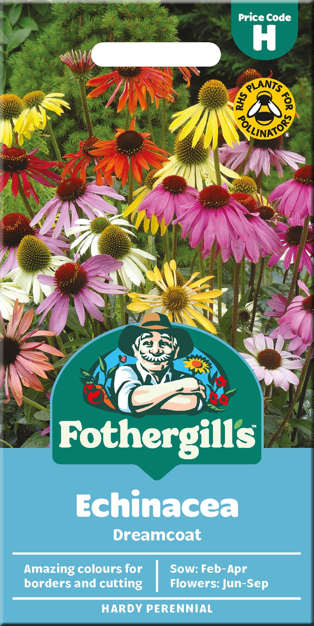 Echinacea Seeds Dreamcoat by Fothergill's - Mixed Colours - Flower Seed for Planting UK