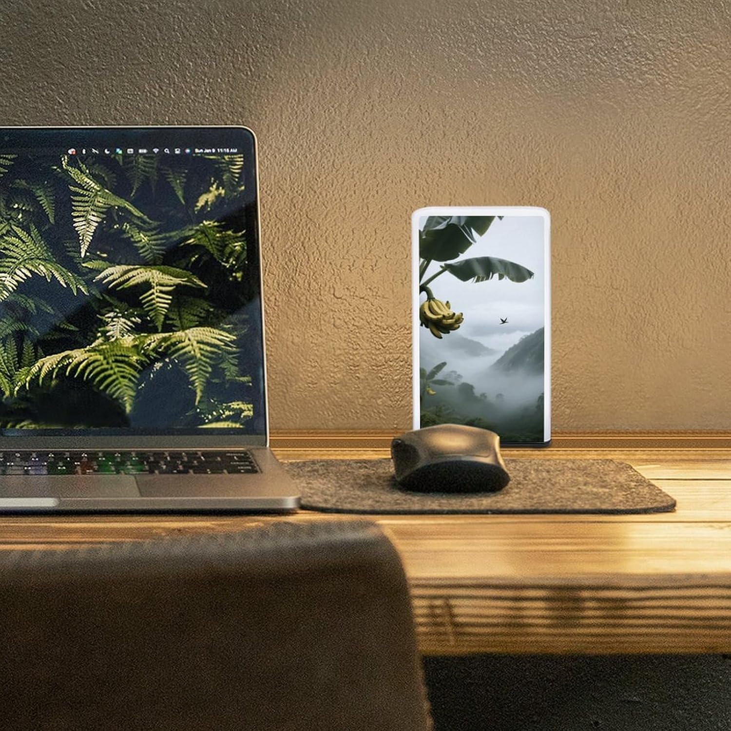 Dimmable Portable Desk Lamp Reading Table Lamp Valley Banana Tree Bedside Night Light Battery Powered for Home Office Gift