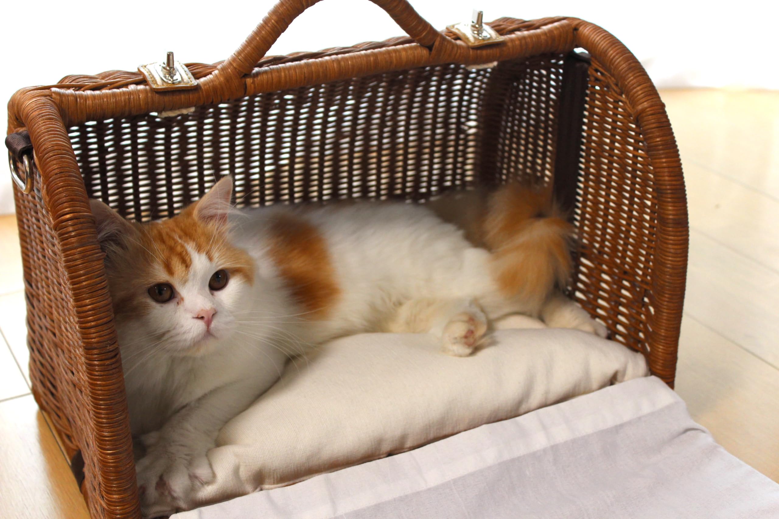 Amazon.co.jp: シンシアジャパン ラタンキャリーマイン ブラウン SC