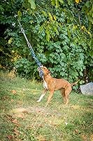 Vista 6 de YES4QUALITY Poste de coqueteo para perros, 2 postes de resorte duraderos con cuerda fuerte para perros, poste de señuelo resistente para perros