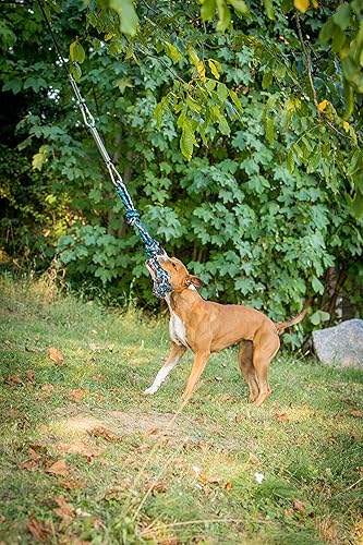 Miniatura 6 de YES4QUALITY Poste de coqueteo para perros, 2 postes de resorte duraderos con cuerda fuerte para perros, poste de señuelo resistente para perros de