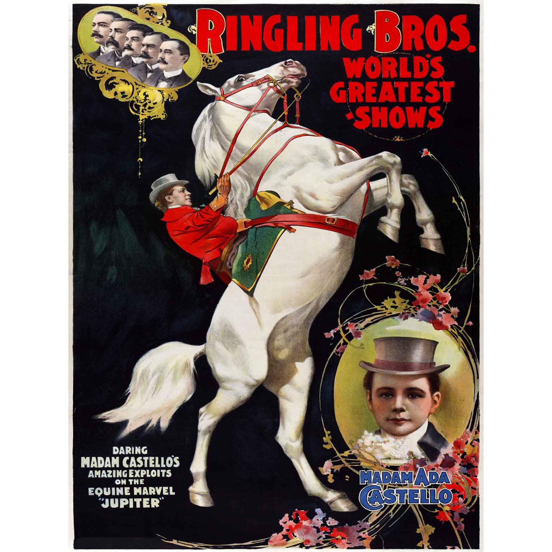 Wee Blue Coo Vintage Advert Circus Ringling Bros Castello Jupiter Poster Art Print Bb12722B