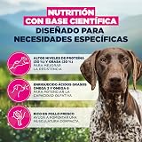 Ver la foto 5