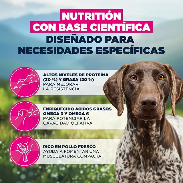 Foto 5 de 8 de EUKANUBA Working & Endurance - Alimento para Perros con Pollo Fresco