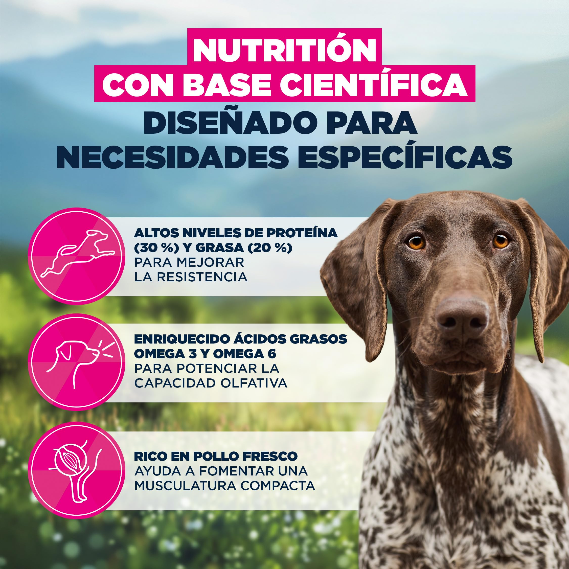 EUKANUBA Working & Endurance - Alimento para Perros con Pollo Fresco - Alimento seco energético Special Care para Perros de Trabajo, Perros de Caza así como Perras gestantes y Lactantes, 15 kg