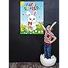 Product Photo 6