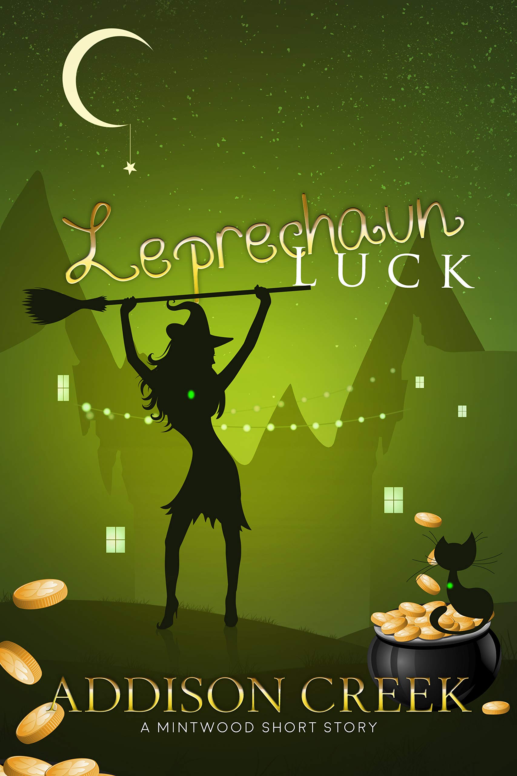 Cover of Leprechaun Luck