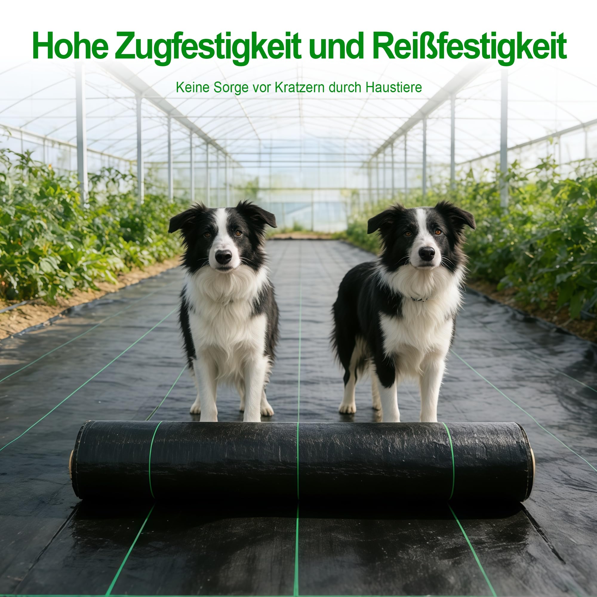 Unkrautvlies Extra Stark Gartenvlies 2x25m,PP Reißfestes Drainagevlies 50m²,Uv-BestäNdiges Hochbeet Folie 80g/m2,Unkrautvlies WasserdurchläSsig (75m² (3m x 25m))